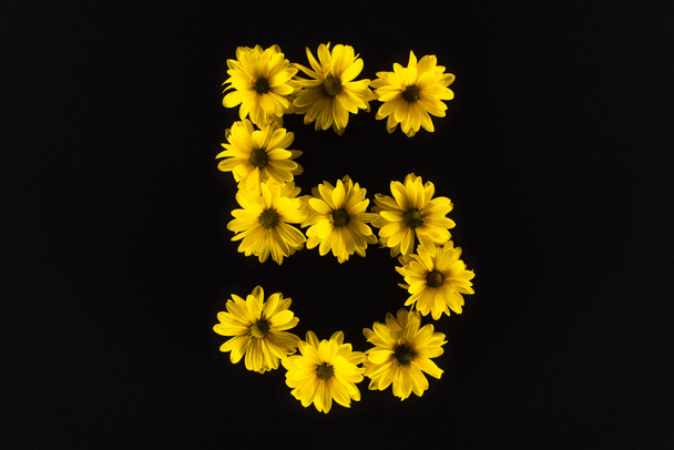 top view of yellow daisies arranged in number 5 isolated on black - Valokuva, kuva
