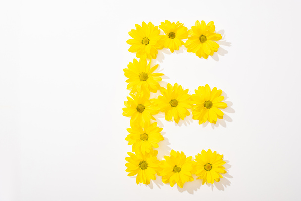 top view of yellow daisies arranged in letter E on white background - Photo, Image