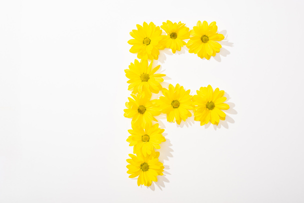 top view of yellow daisies arranged in letter F on white background - Фото, зображення