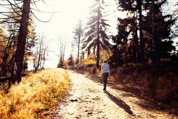 Hiking during autumn - Fotografie, Obrázek
