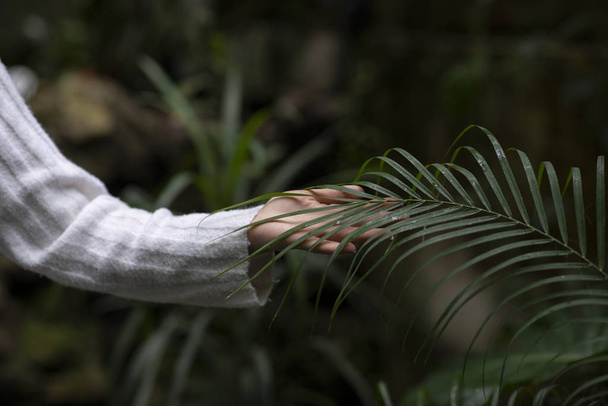 ženská ruka s bílým svetrem dotýkající se rostlin tmavé zahrady - Fotografie, Obrázek