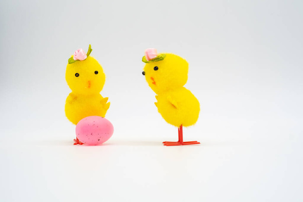 Dos pollitos de Pascua amarillos mirando sorprendidos al huevo rosa aislado
 - Foto, imagen