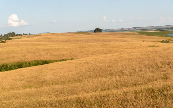 Agropastorální krajina v jižní Brazílii hraničící s Uruguay1 - Fotografie, Obrázek