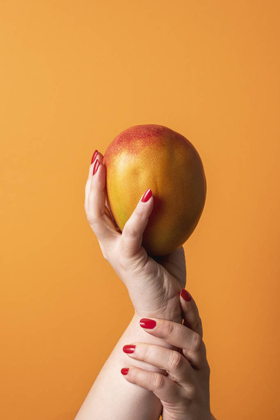 Hands holding a ripe mango. Fresh tropical fruit. Mango fruit - Fotó, kép