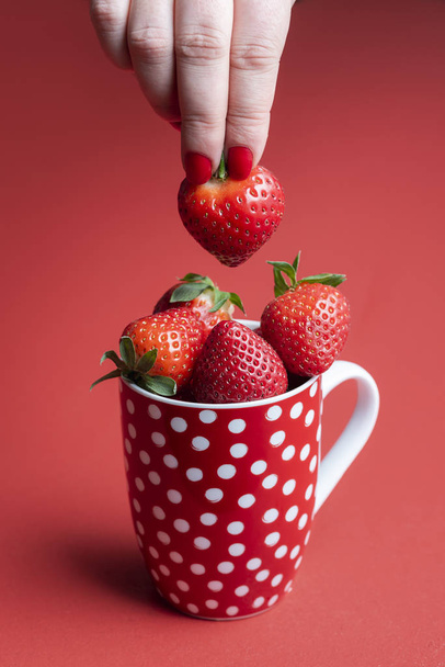Eine reife Erdbeere von einem Haufen nehmen. Becher mit frischen Erdbeeren - Foto, Bild