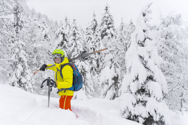 Hombre de color amarillo con mochila azul de esquí estancia con muchos abetos alrededor y suave nieve en polvo. El esquiador de backcountry está en la montaña de los Alpes en Austria
. - Foto, imagen