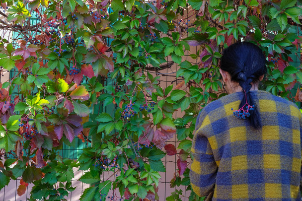  Mujer de 59 años en casa en un jardín cerca de una pared viva de uvas silvestres en un día soleado en Provenza. Mujer con abrigo a cuadros con pelo negro quiere ir. Vista trasera. Concepto de autoaislamiento
. - Foto, imagen