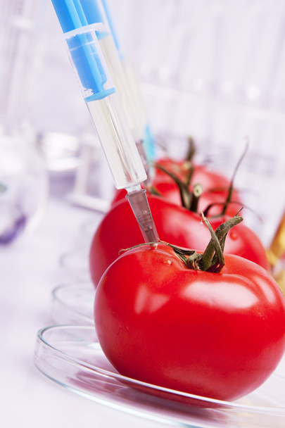 Alimentos modificados genéticamente
 - Foto, Imagen