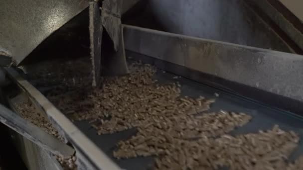 Industrial production of Pellet-Transport pellet to packing - Záběry, video