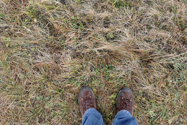 草の上にハイキングシューズの足が立つ - 写真・画像