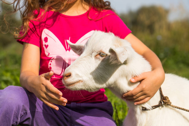 Little Baby Girl Hold Goat With Her Hand Outdoors Close Up. - Photo, Image