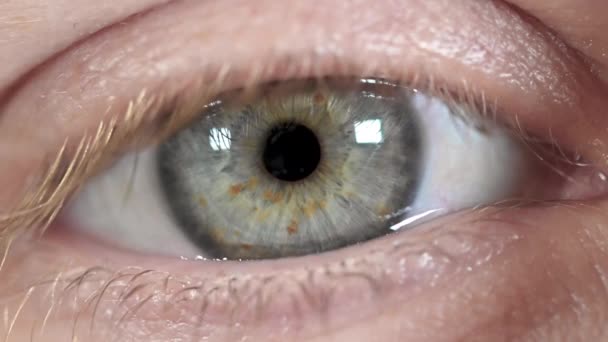 primer plano hermoso ojo azul de la mujer, apertura y parpadeo iris humano macro belleza natural
. - Metraje, vídeo
