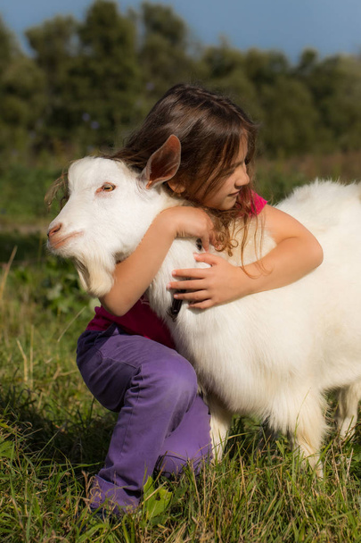 Little Baby Girl Hugs A Goat In Village In Summer Close Up. - 写真・画像