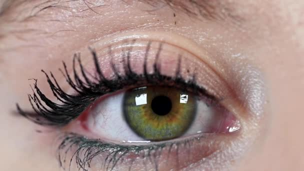 close-up macro groen oog bewegen omhoog, menselijke iris natuurlijke schoonheid. - Video
