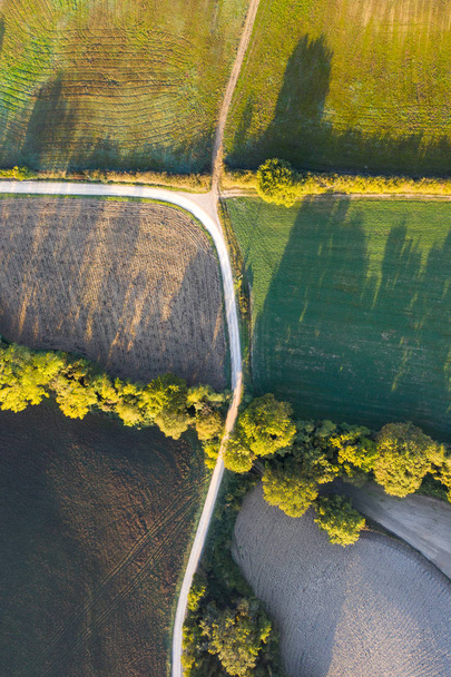 Vista aérea de los campos, bodegas cerca de San Quirico dOrcia. Toscana otoño amanecer
 - Foto, imagen