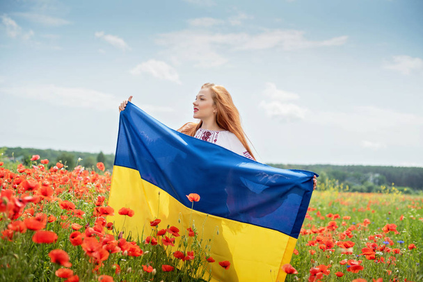 Girl carries fluttering blue and yellow flag of Ukraine in field. - Фото, изображение