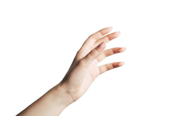 hermosa mano femenina con una palma abierta. - Foto, Imagen