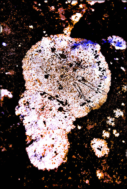 Na skałach potknięty psychodeliczny makro abstrakcyjne tło akcji  - Zdjęcie, obraz