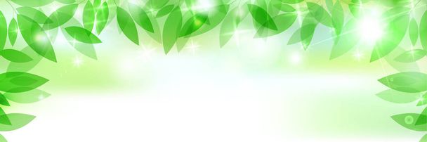 Hojas verdes frescas fondo de luz verde
 - Vector, Imagen