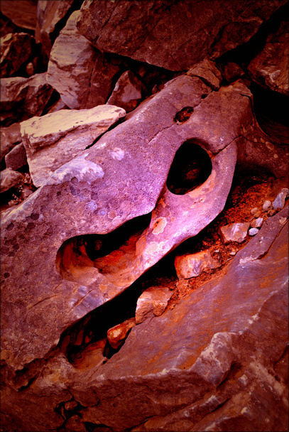Op de rotsen trippy psychedelische macro abstracte achtergrond voorraad  - Foto, afbeelding