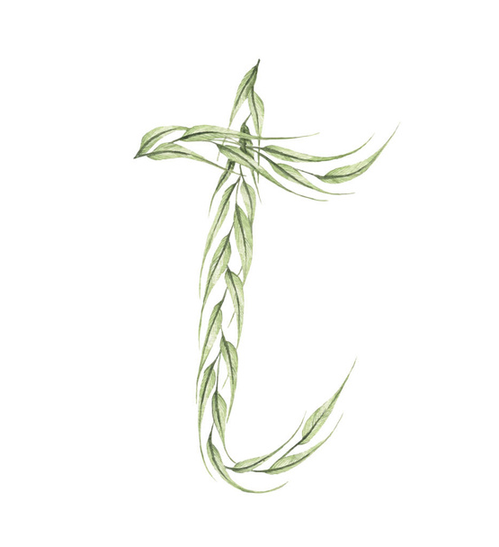 Γράμμα Τ, αλφάβητο πράσινων φύλλων που απομονώνονται σε λευκό φόντο. Συλλογή οικολογικών συμβόλων. Εικονογράφηση υδατογραφίας. - Φωτογραφία, εικόνα