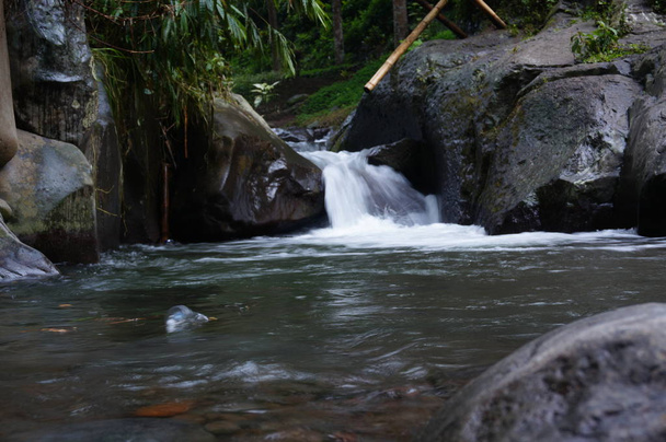 Waterfall in deep forest - Fotó, kép