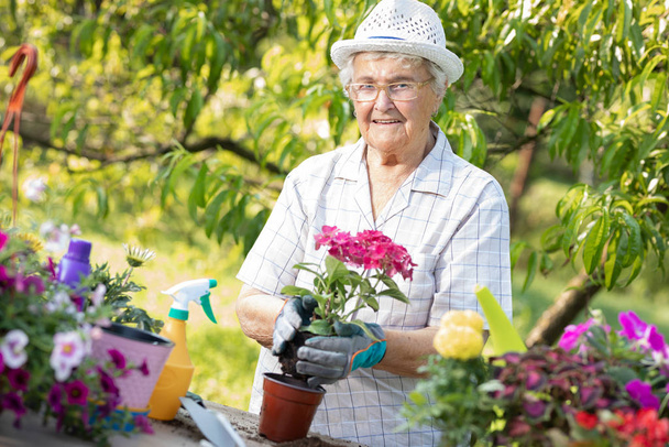 Felice nonna giardinaggio nella giornata di sole
  - Foto, immagini