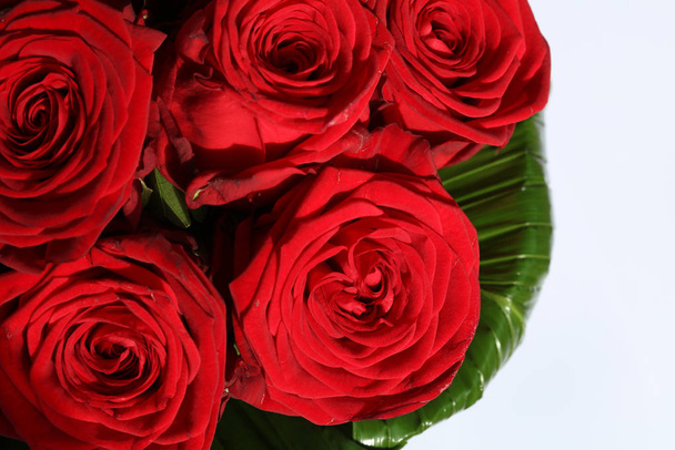 Un ramo de maravillosas rosas rojas de cerca - Foto, Imagen