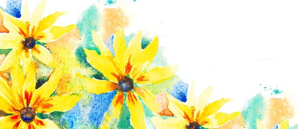 Rudbeckia. Floral watercolor background, template for greeting c - Photo, Image