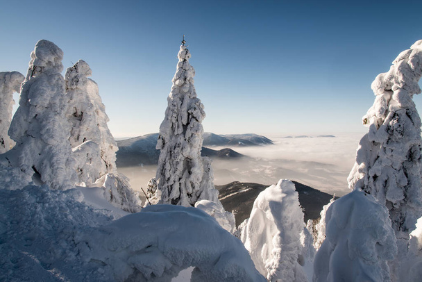 winter bellow Lysa hora hill in Moravskoslezske Beskydy mountains in Czech republic - Φωτογραφία, εικόνα