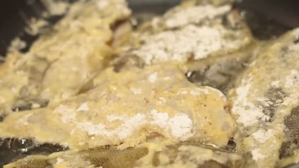 cocinar filetes de pescado de mar en una sartén
 - Metraje, vídeo