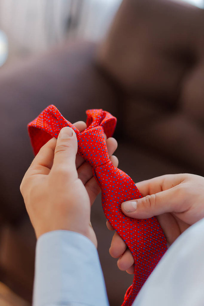 Красивый стильный галстук в руках мужчины
. - Фото, изображение