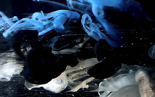  Blue, white and black watercolor ink in water. Abstract backgro - Photo, image
