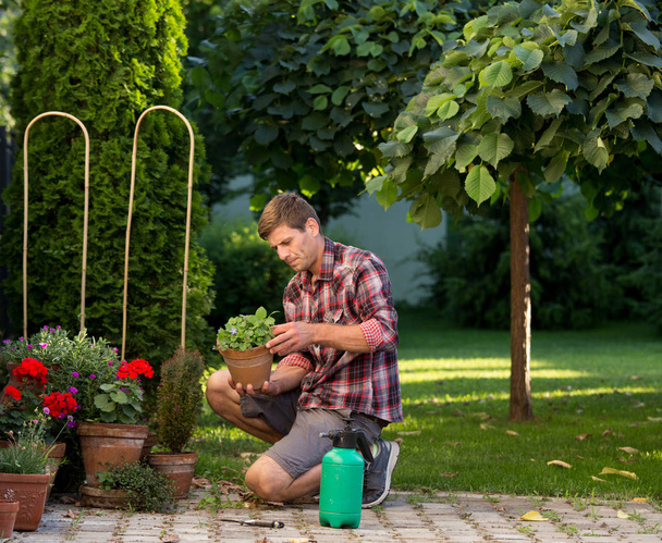 Man taking care of plants in garden - Photo, Image