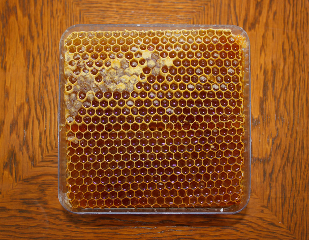 Honey in honeycomb 2 - 写真・画像