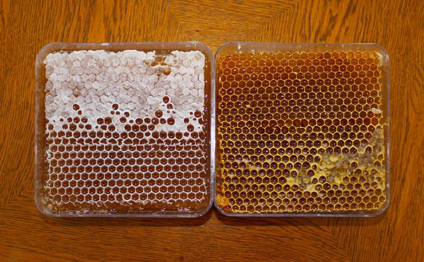 Honey in honeycomb - Zdjęcie, obraz