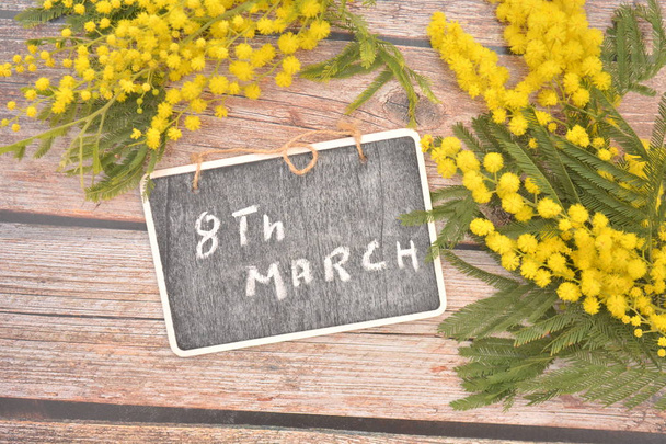 mimosa fiore giallo per la donna giorno 8 marzo maturo festa giardino
 - Foto, immagini