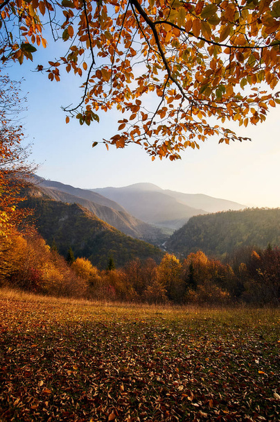 Beautiful autumn sunset in Borjomi, Georgia. Golden fall leaves and forest in the mountains. - Fotó, kép