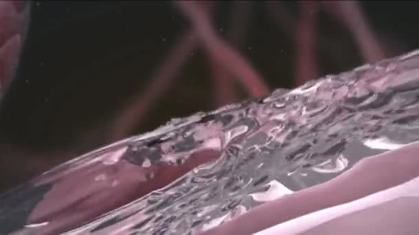 3D Medical Animated Angiogenese neue Gefäßbildung - Filmmaterial, Video