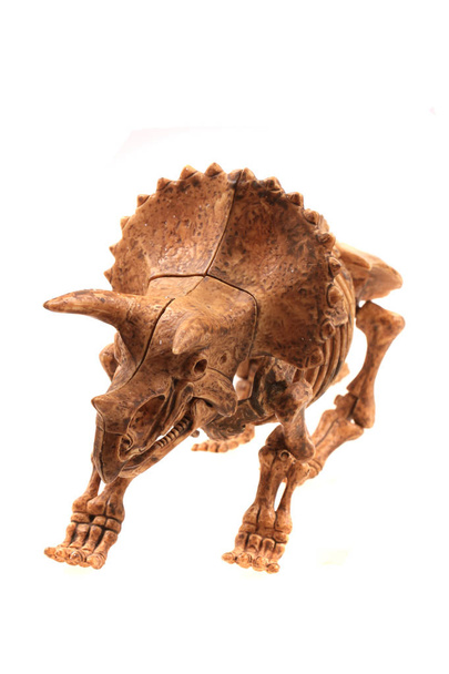 triceratops csontváz izolált - Fotó, kép