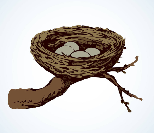 Nest. Vector drawing - Vector, Image