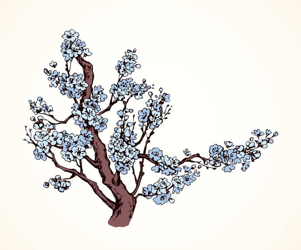 春の花木。ベクトル描画 - ベクター画像