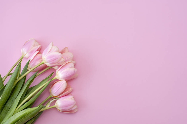 8 March Happy Women's Day. Pink tulips on pink background. - Foto, immagini