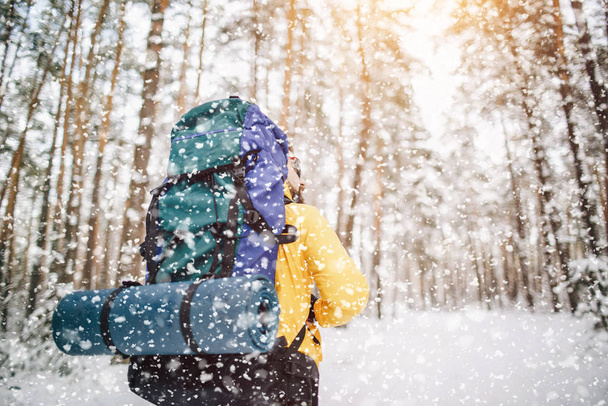 Один турист ходить снігом у лісі
 - Фото, зображення