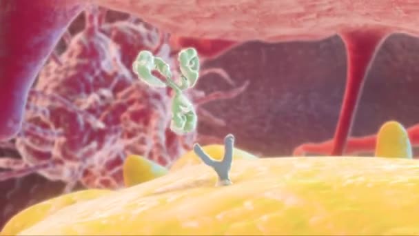 Receptor limfocytów T (TCR) jest cząsteczką znajdującą się na powierzchni komórek T. - Materiał filmowy, wideo