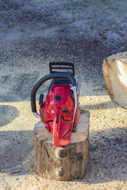 man sawing a big tree with a chainsaw. Sawdust. Close-up - Foto, imagen