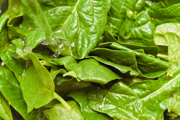 Fresh spinach, organic spinach washed with water, a source of nu - Fotoğraf, Görsel
