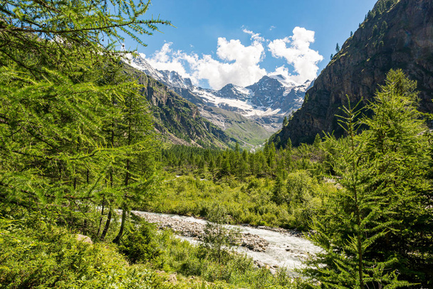 Bergbeekje stroomt door weelderige groene vallei. - Foto, afbeelding