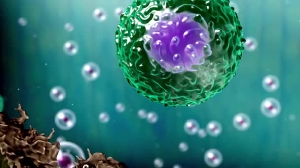 Interaction of cancer cell and t cell - Footage, Video