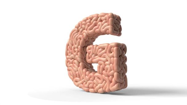 lidský mozek ve tvaru písmene G. 3D ilustrace - Fotografie, Obrázek